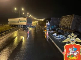 ГУ МВД оперативно отреагировало на новости с М-5 «Урал» gu mvd operativno otreagirovalo na novosti s m5 ural-tstpp-ru-0