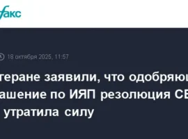 Иран подтвердил новую фазу СВПД, сообщил об этом Аббас Аракчи iran podtverdil novuyu fazu svpd soobshhil ob etom abbas arakchi-tstpp-ru-0