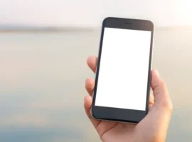 Ирина Тимофеева и Мария Кочеткова из СПбГУ разработали умный тест на полиДАДМАХ irina timofeeva i mariya kochetkova iz spbgu razrabotali umnyj test na polidadmah-tstpp-ru-0