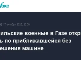 izrail i gaza delayut novye shagi k miru s podderzhkoj donalda trampa i czahal-tstpp-ru-0