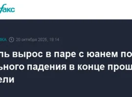 krushenie prognozov rublya i yuanya na fone intrig banka rossii i zayavlenij putina-tstpp-ru-0