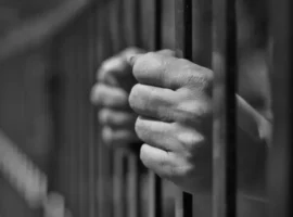 Мария Дапирка рассказывает о жизни после заключения во Вьетнаме и возвращении в Россию mariya dapirka rasskazyvaet o zhizni posle zaklyucheniya vo vetname i vozvrashhenii v rossiyu-tstpp-ru-0