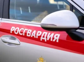 Николай Чепкасов объяснил, как Росгвардия развивает цифровизацию nikolaj chepkasov obyasnil kak rosgvardiya razvivaet czifrovizacziyu-tstpp-ru-0