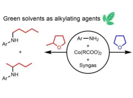 НИУ ВШЭ и ИНЭОС РАН исследуют зеленый синтез-газ и кобальт для анилинов niu vshe i ineos ran issleduyut zelenyj sintezgaz i kobalt dlya anilinov-tstpp-ru-0