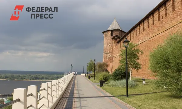 Нижегородская область направит 3,9 млрд на Зитех и Нижегородское масло, сообщил Егор Поляков-0