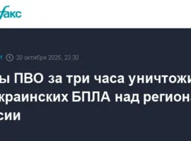 pvo unichtozhila 23 bpla za sutki v rezultate zhestokogo protivostoyaniya-tstpp-ru-0