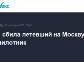 ПВО успешно нейтрализовала вражеский беспилотник над Подмосковьем pvo uspeshno nejtralizovala vrazheskij bespilotnik nad podmoskovem-tstpp-ru-0