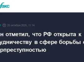 Россия призывает к единству в борьбе с киберпреступностью, отметил Путин rossiya prizyvaet k edinstvu v borbe s kiberprestupnostyu otmetil putin-tstpp-ru-0