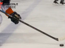 XV сезон Ночной хоккейной лиги Рязанской области стартовал с масштабного праздника! sezon nochnoj hokkejnoj ligi ryazanskoj oblasti startoval s masshtabnogo prazdnika-tstpp-ru-0