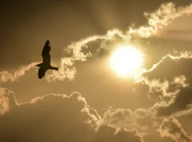 Традиции и советы православных христиан о святом Лонгине и народном календаре tradiczii i sovety pravoslavnyh hristian o svyatom longine i narodnom kalendare-tstpp-ru-0