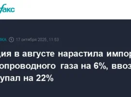 turcziya uvelichivaet import gaza iz rossii azerbajdzhana i irana-tstpp-ru-0