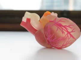 Ученые Северо-Запада раскрыли простой метод для здоровья сердца от AHA uchenye severozapada raskryli prostoj metod dlya zdorovya serdcza ot -tstpp-ru-0