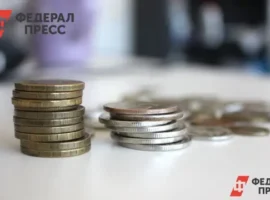 В бюджете Приморского края на 2026 год главные приоритеты — культура, здоровье и образование v byudzhete primorskogo kraya na 2026 god glavnye prioritety kultura zdorove i obrazovanie-tstpp-ru-0