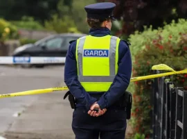 В Дублине подросток из Сомали и украинец стали героями громкого расследования v dubline podrostok iz somali i ukrainecz stali geroyami gromkogo rassledovaniya-tstpp-ru-0