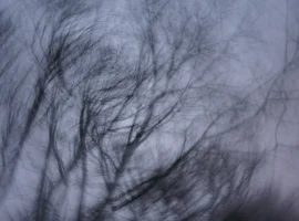 В Красноярском крае исчезли Владимир Шатыгин и семья Усольцевых v krasnoyarskom krae ischezli vladimir shatygin i semya usolczevyh-tstpp-ru-0