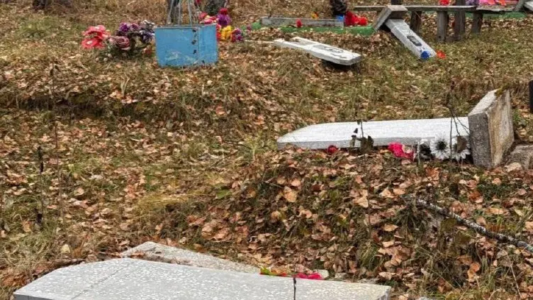 Дети устроили погром на кладбище под Новосибирском и повредили более 80 надгробий