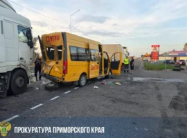 В Приморье возбуждено дело по факту ДТП с автобусом и фурой, в котором пострадали дети v primore vozbuzhdeno delo po faktu dtp s avtobusom i furoj v kotorom postradali deti-tstpp-ru-0