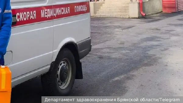 В результате атаки ВСУ в Брянской области погибла женщина и пострадал ребенок