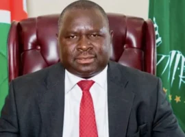 Адольф Гитлер Уунона уверенно движется к победе на выборах с поддержкой Народной организации Юго-Западной Африки adolf gitler uunona uverenno dvizhetsya k pobede na vyborah s podderzhkoj narodnoj organizaczii yugozapadnoj afriki-tstpp-ru-0