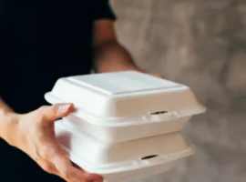 andrej dorohov iz rtu mirea obsudil alternativy odnorazovym kontejneram-tstpp-ru-0