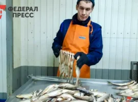 andrej rubashin rasskazal o podderzhke rybolovov i subsidiyah v yamale-tstpp-ru-0