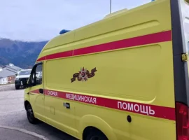 aph miratorg poluchila srochnoe soobshhenie o posledstviyah ataki bpla-tstpp-ru-0