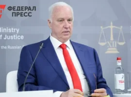 Бастрыкин поручает СК РФ возобновить дело о коляске инвалида в Рязани bastrykin poruchaet sk rf vozobnovit delo o kolyaske invalida v ryazani-tstpp-ru-0