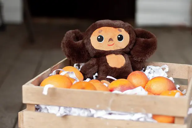 Вводная картинка