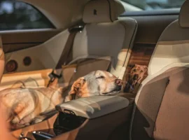 Эксклюзивное купе Rolls-Royce Spectre Bailey стало шедевром для США eksklyuzivnoe kupe stalo shedevrom dlya ssha-tstpp-ru-0