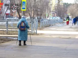 Эксперт Виноградов рассказал о росте пенсий и маткапитала в Омской области ekspert vinogradov rasskazal o roste pensij i matkapitala v omskoj oblasti-tstpp-ru-0