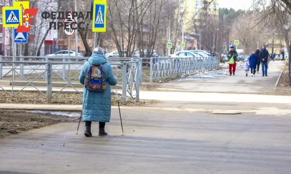 Эксперт Виноградов рассказал о росте пенсий и маткапитала в Омской области-0