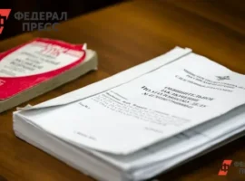 Эрика Владыко рассказала о возвращении дочери в Россию и деле УМВД Приморья erika vladyko rasskazala o vozvrashhenii docheri v rossiyu i dele umvd primorya-tstpp-ru-0