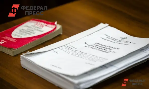 Эрика Владыко рассказала о возвращении дочери в Россию и деле УМВД Приморья-0