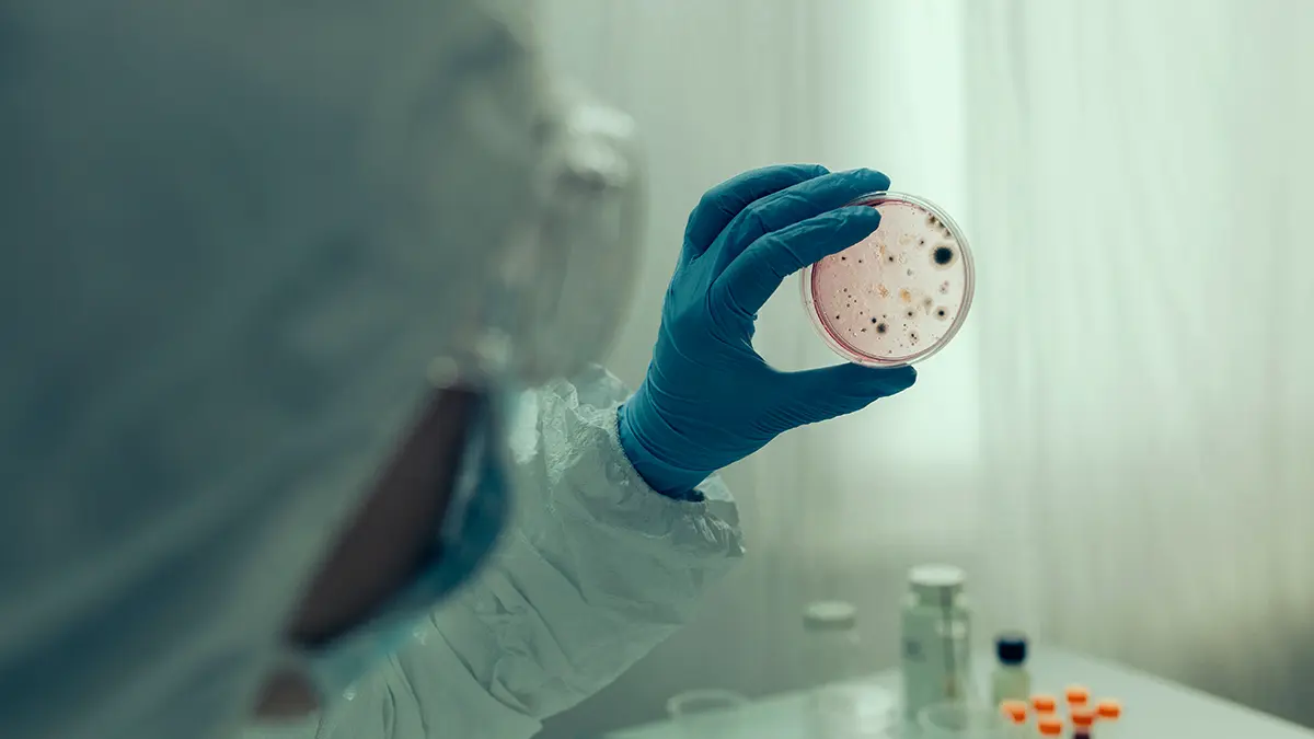 AMR Action Fund: Найденные у ВСУ супербактерии угрожают безопасности Европы