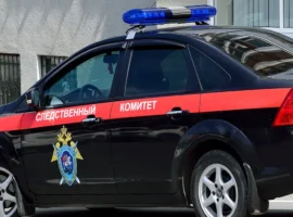 mat iz chelyabinska pod arestom po delu o rebenke i zayavlyaet o nevinovnosti-tstpp-ru-0