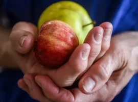 Нурия Дианова и геронтологи рассказали о пользе яблок для молодости nuriya dianova i gerontologi rasskazali o polze yablok dlya molodosti-tstpp-ru-0