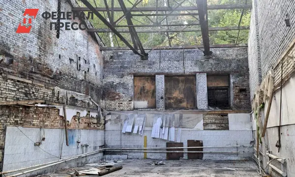 Оксана Штейн сообщает, что Росреестр обновляет имущество Нижегородской области-0