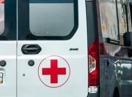 Омские врачи спасли женщину от червя дирофилярия в глазу после укуса комара omskie vrachi spasli zhenshhinu ot chervya dirofilyariya v glazu posle ukusa komara-tstpp-ru-0