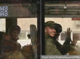 Оптимизация службы в течение года по новому закону Президента Путина optimizacziya sluzhby v techenie goda po novomu zakonu prezidenta putina-tstpp-ru-0