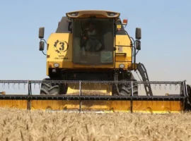 Перспективы и рост вакансий на Авито в Тюменской области в 2025 году perspektivy i rost vakansij na avito v tyumenskoj oblasti v 2025 godu-tstpp-ru-0