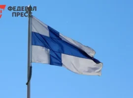 policziya finlyandii otmechaet dinamiku v borbe s prestupleniyami protiv rossiyan-tstpp-ru-0