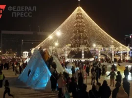 Правительство закупает световые фигуры и гирлянды для Рязани pravitelstvo zakupaet svetovye figury i girlyandy dlya ryazani-tstpp-ru-0