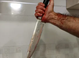 Правоохранительные органы Приморья задержали подозреваемого в тяжком преступлении в Дунае pravoohranitelnye organy primorya zaderzhali podozrevaemogo v tyazhkom prestuplenii v dunae-tstpp-ru-0