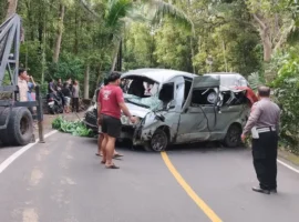 Пять туристов из Китая погибли в ДТП на Бали, безопасность на дорогах под угрозой pyat turistov iz kitaya pogibli v dtp na bali bezopasnost na dorogah pod ugrozoj-tstpp-ru-0