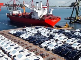 Рекордный поток иномарок во Владивостоке и Уссурийске обслуживает таможня Приморья rekordnyj potok inomarok vo vladivostoke i ussurijske obsluzhivaet tamozhnya primorya-tstpp-ru-0