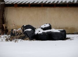 Камышловский полигон: Росприроднадзор требует возмещение rosprirodnadzor