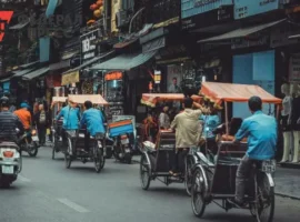 rossiyane vo vetname rasskazyvayut kak izbezhat ozhogov ot tomkatov-tstpp-ru-0