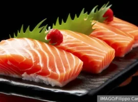 rybnyj soyuz soobshhaet o rynke krevetok iz ekvadora i semgi iz chili-tstpp-ru-0