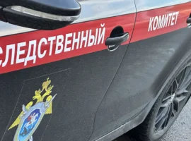 sledstvennyj komitet obespechivaet pravosudie v dele o smerti syna moskvichki-tstpp-ru-0