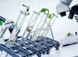 Создание Биоресурсного центра в МГУ имени М.В. Ломоносова и развитие науки sozdanie bioresursnogo czentra v mgu imeni mv lomonosova i razvitie nauki-tstpp-ru-0